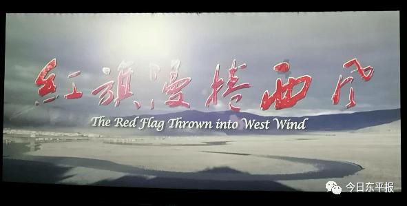 救援狗与猫