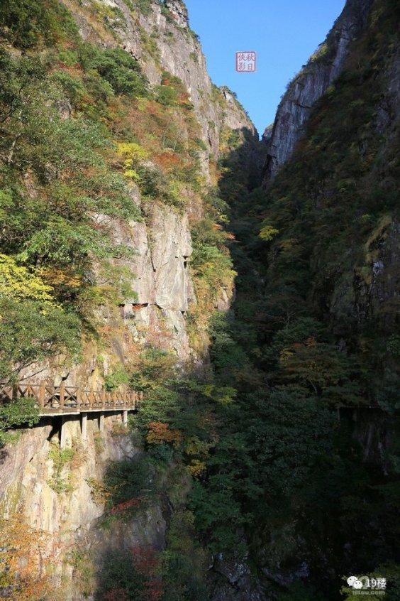 喜羊羊要上200层